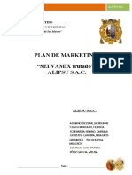 Plan de Marketing Selvamix Frutado