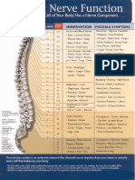 Spinal Nerve Function Chart