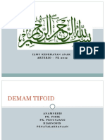 Demam Tifoid