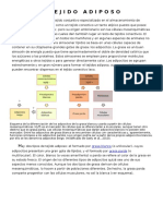 Tejido adiposo: diferencias entre grasa blanca y parda