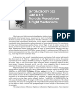 Entomology 322 Labs 8 & 9 Thoracic Musculature & Flight Mechanisms