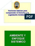 Nociones básicas sobre Derecho Ambiental