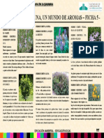 FICHA 5.Plantas Aromáticas Delantera