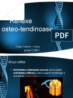 Reflexe Osteo Tendinoase