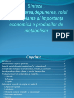 Proiect 2003