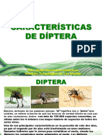 CARACTERISTICAS_DE_DIPTERA.pdf