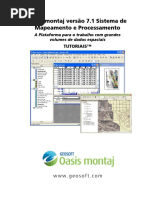 Geosoft_-_Oasis_montaj_-_Version_7.1_Tut.pdf