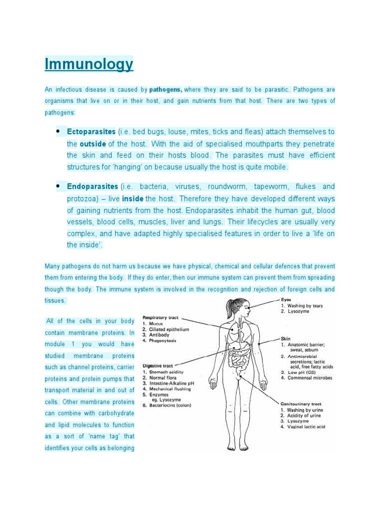 Immunology Ectoparasites (I.e. Bed Bugs, Louse, Mites, Ticks and Fleas