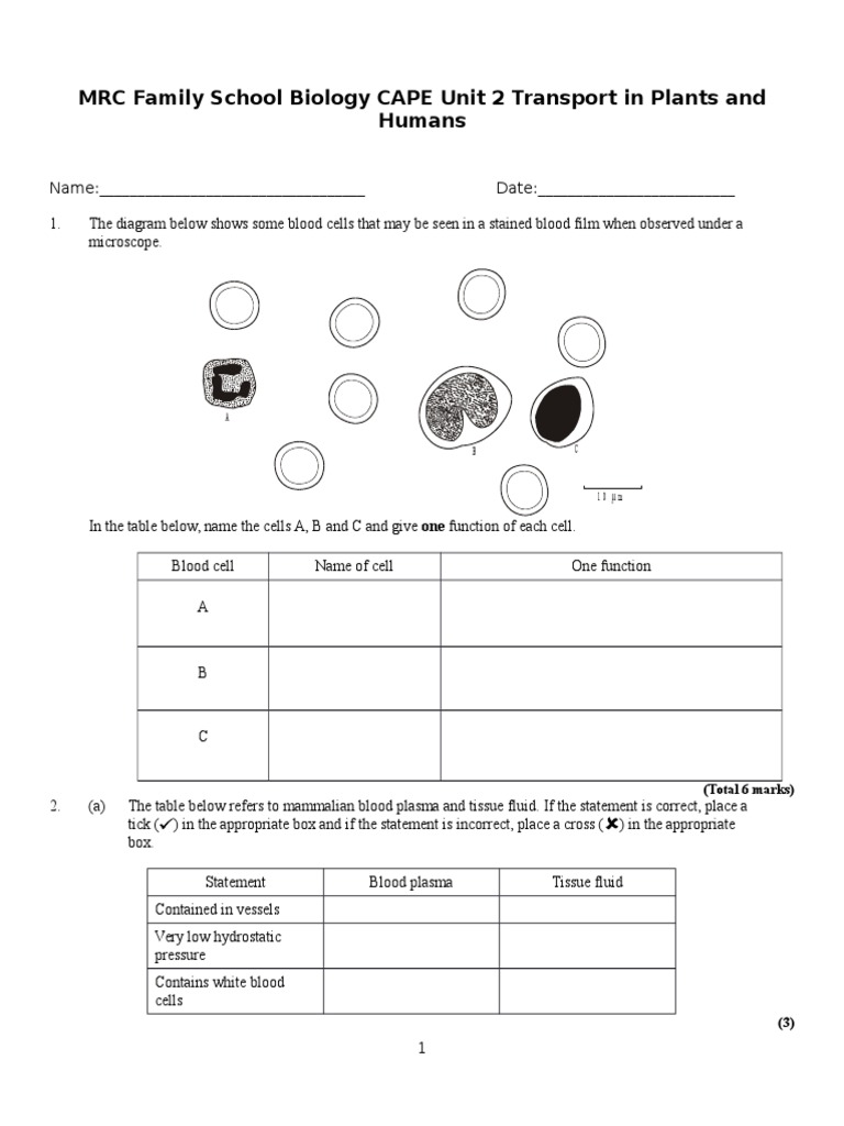 Chapter 25: assessment of cardiovascular function quizlet image