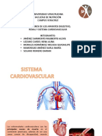 TRASTORNOS-sistema Cardiovascular