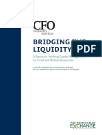 Bridging The Liquidity Gap - CFO Research PDF