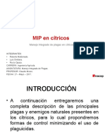 Mip en Cítricos