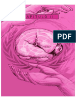 Organos de Aplicacion Internacional de Los DDHH PDF