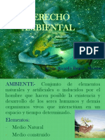 Derecho Ambiental Nacional Inter