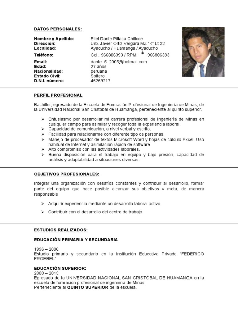 Curriculum vitae example for job image