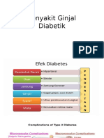 Ginjal Diabetik