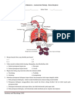 Anatomy and Physiology Student Worksheet - Respiratory System