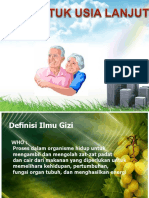 Gizi Usia Lanjut - Final