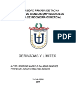 Monografia de Limites y Derivadas