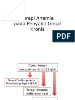 Terapi Anemia