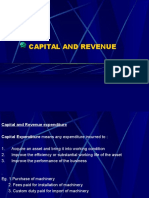 Capital and Revenue (1)
