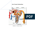 8. pembentukan urine.docx