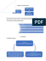 Resumen Aparato Respiratorio Histologia Ross-Pawlina