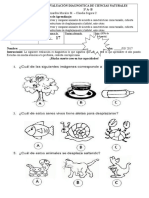 Prueba Diagnóstica de Ciencias Naturales