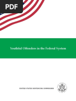 U.S. Sentencing Commission Report on "Youthful Offenders"