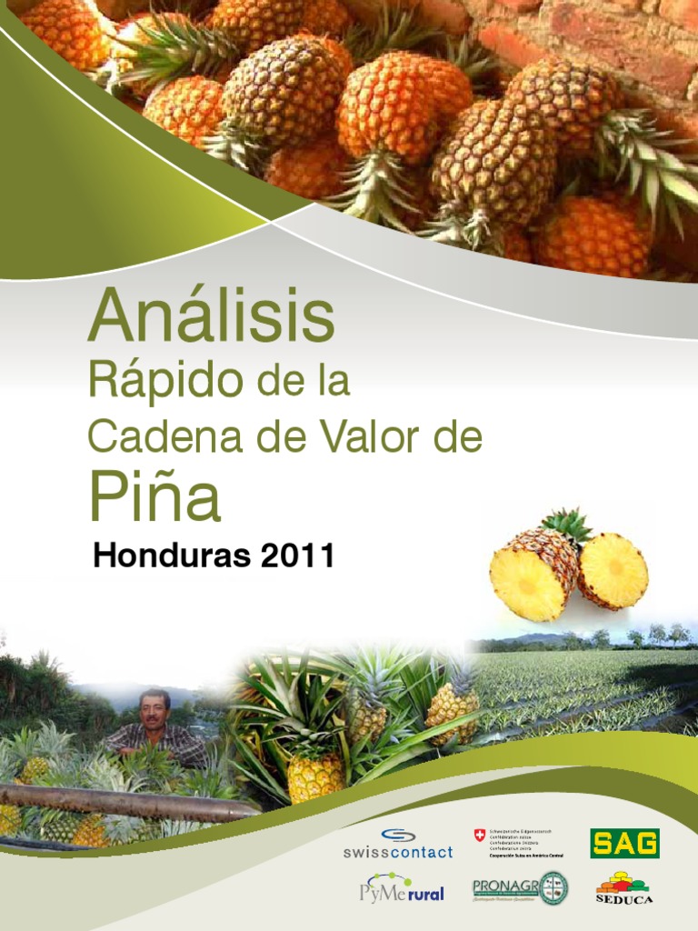 Cadena de Valor de la Piña en Honduras | PDF | Agricultura | Sector ...