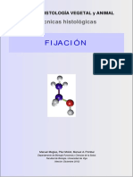 Tecnicas Fijacion