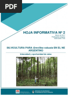 economia forestal