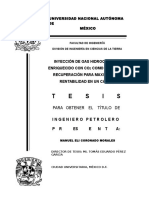 Tesis PDF