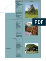 Jenis Tanaman PDF