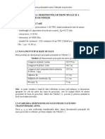 1. PPN Dimensiuni si coef finete.pdf