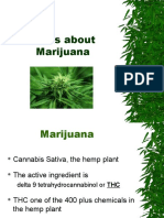 Marijuana Facts 4 Students