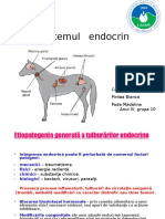 Sistemul Edocrin, Terapeutica