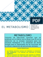 elmetabolismo.ppt