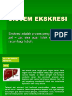 Sistem Ekskresi Devy1