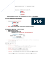 The Nervous System