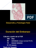 Tema 4. Desarrollo y Fisiología Fetal