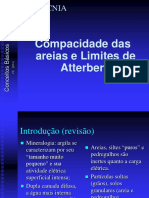limites-de-consistc3aancia.pdf