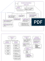 Mapa Conceptual