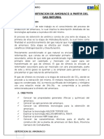 260858385 Proceso de Obtencion de Amoniaco a Partir Del Gas Natural Terminado (1) (1) (1)