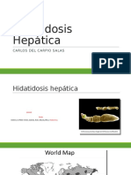 Hidatidosis Hepática