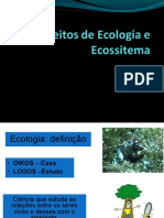 conceitos_ecologia_ecossistema