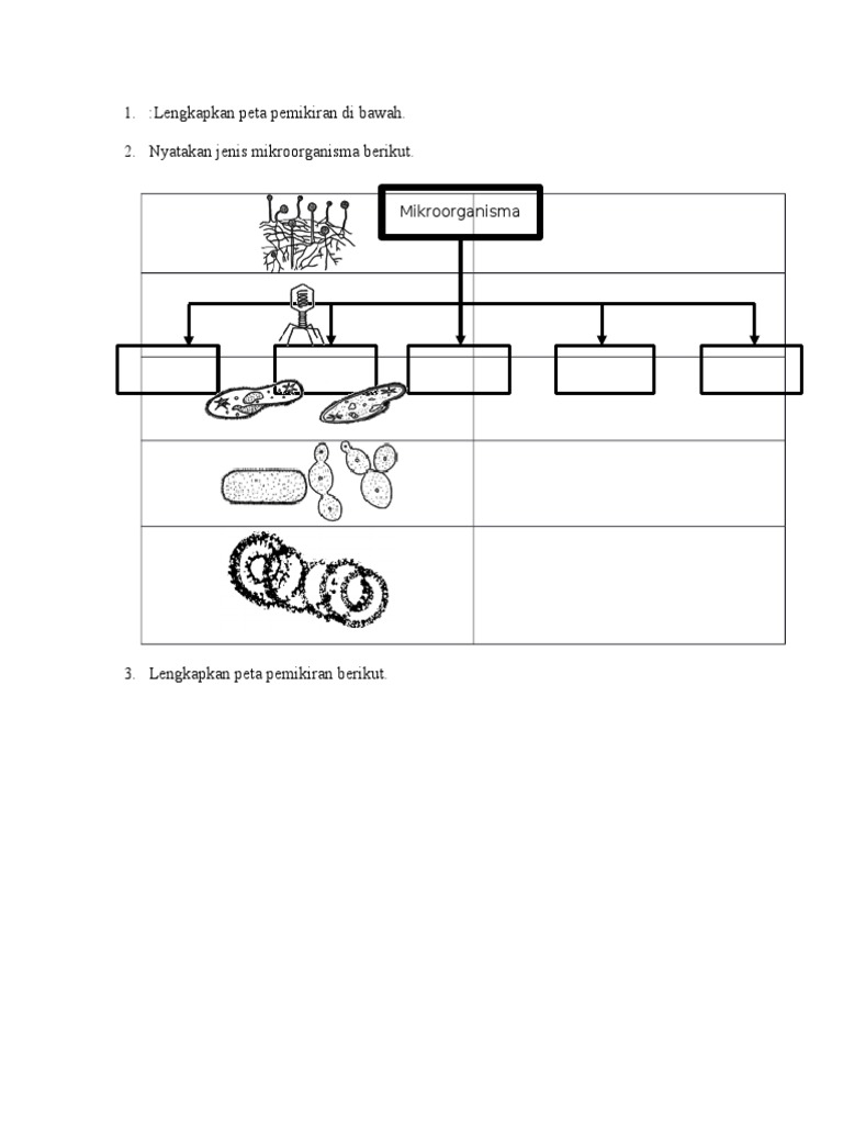 Latihan Mikroorganisma Tahun 6  PDF