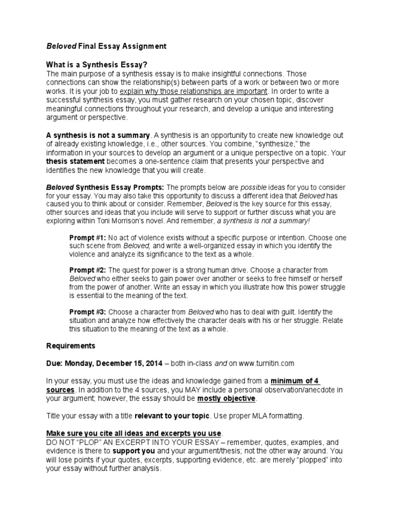 help me write my synthesis essay