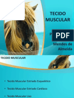 Tecido Muscular