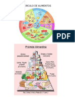 CIRCULO DE ALIMENTOSY PIRAMIDE DE ALIMENTOS.docx